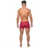 Seamless Low Rise Shorts - Sheer Pouch Wine Medium