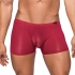 Seamless Low Rise Shorts - Sheer Pouch Wine Medium