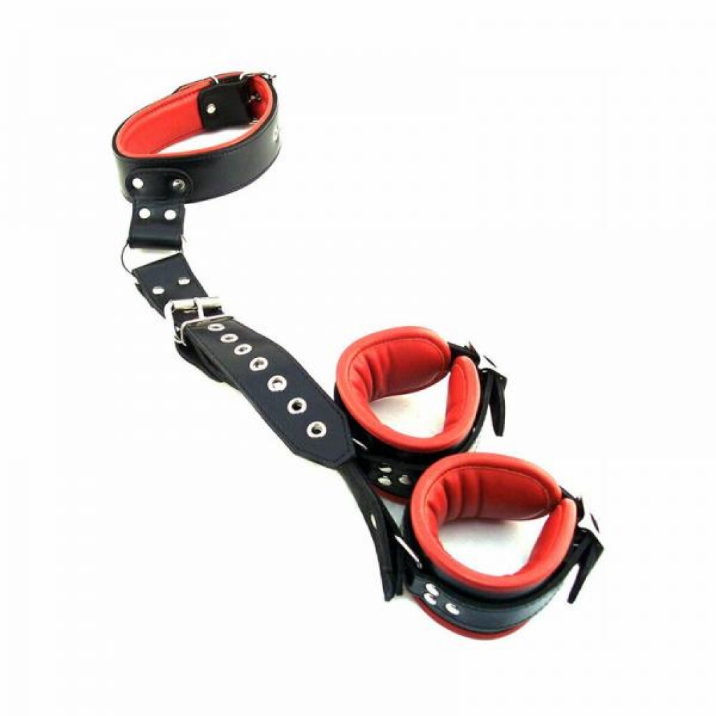 Rouge Leather Neck To Wrist Restraint - Black/Red