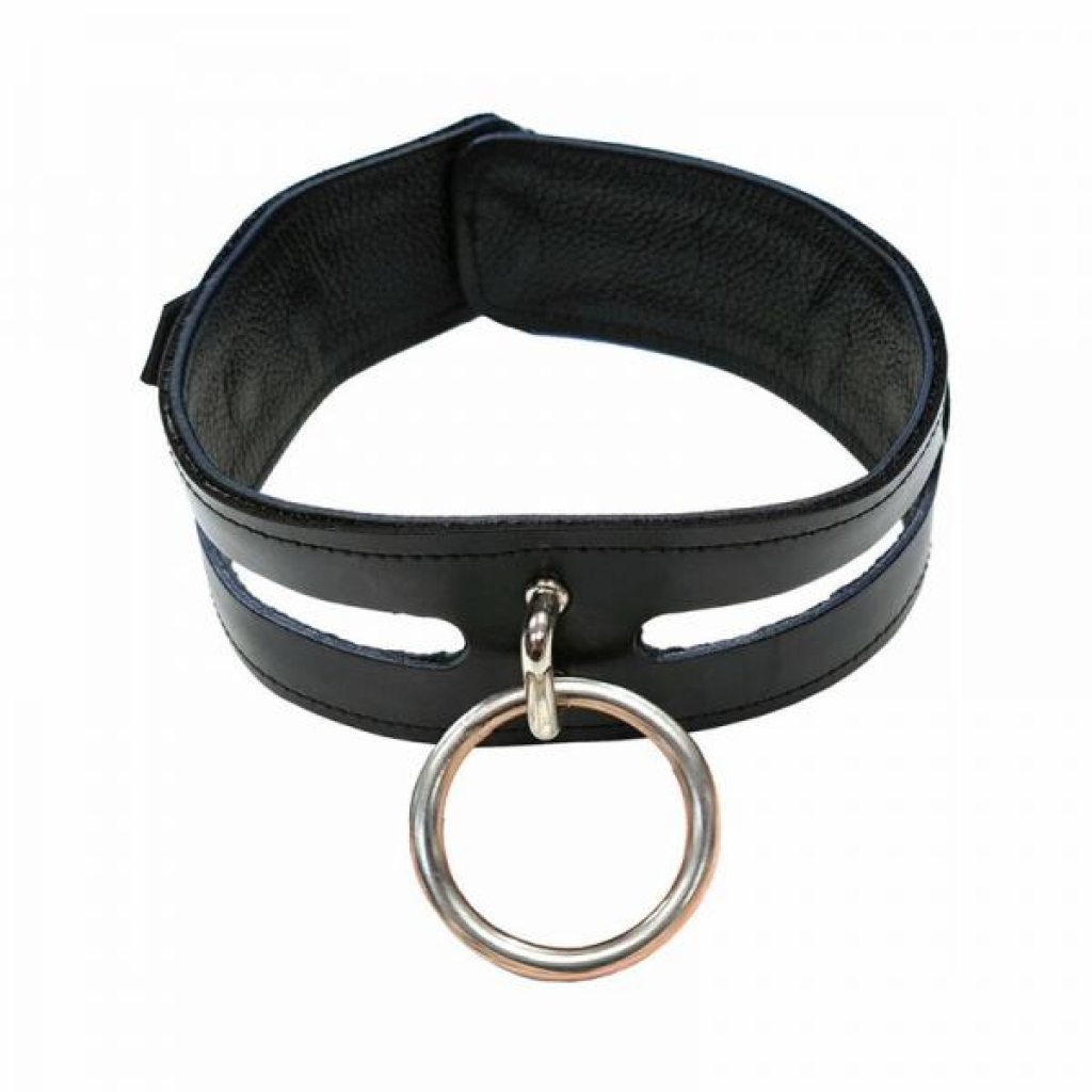 Rouge Leather Fashion Collar - Stylish Bondage Accessory